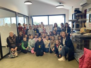 IMG 57319af9eec90ca9e72f9d249b71caa7 V