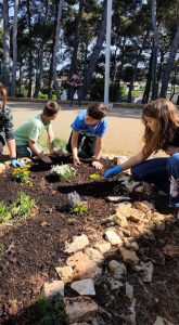 IMG 20260424 152713 1