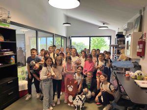 viber slika 2026 04 17 17 49 44 442