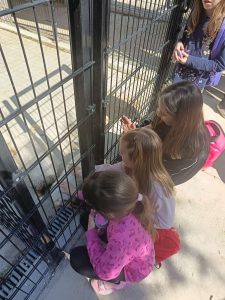 viber slika 2026 04 17 17 49 45 040