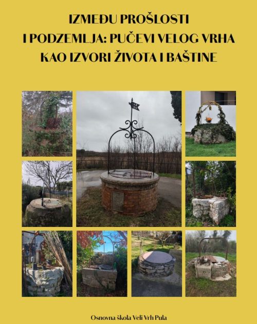 Publikacija